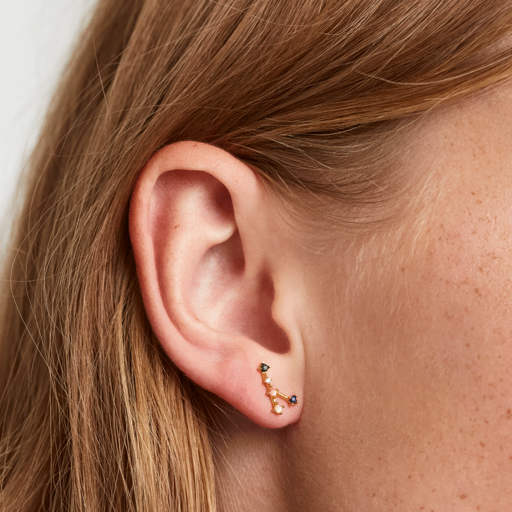 PDPAOLA Orecchini Zodiac CANCRO